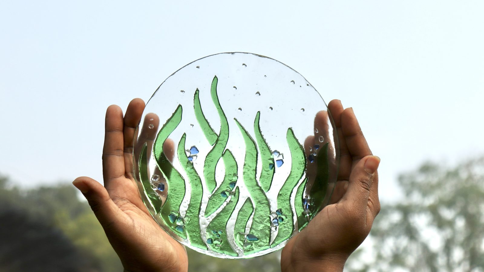Two hands holding a round pane of clear glass with green seaweed forms fused into it