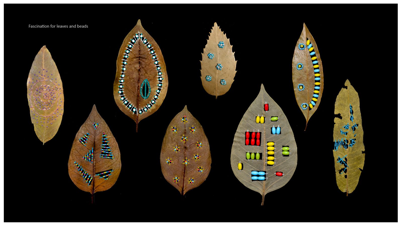 Seven dried leaves painted with folk-art patterns, on black